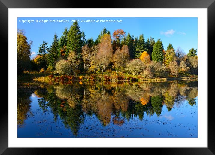 Autumn reflections Penicuik Pond Framed Mounted Print by Angus McComiskey