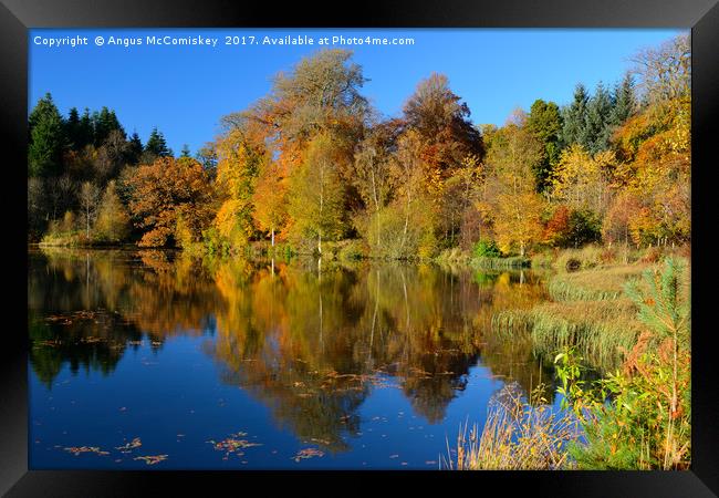 Penicuik Pond autumn reflections Framed Print by Angus McComiskey