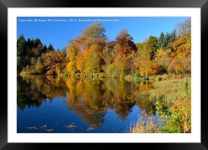 Penicuik Pond autumn reflections Framed Mounted Print by Angus McComiskey
