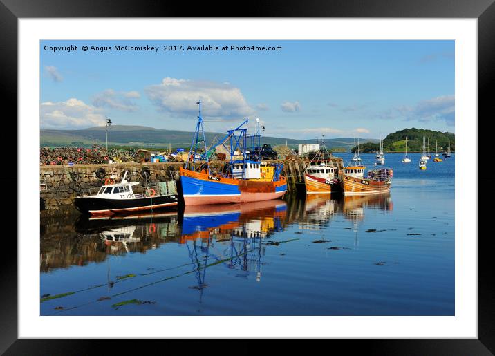 Fishing boats in Tobermory harbour Framed Mounted Print by Angus McComiskey