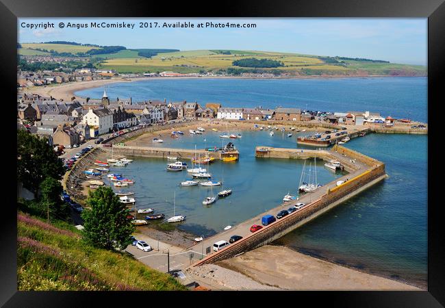 Looking down on Stonehaven Harbour Framed Print by Angus McComiskey