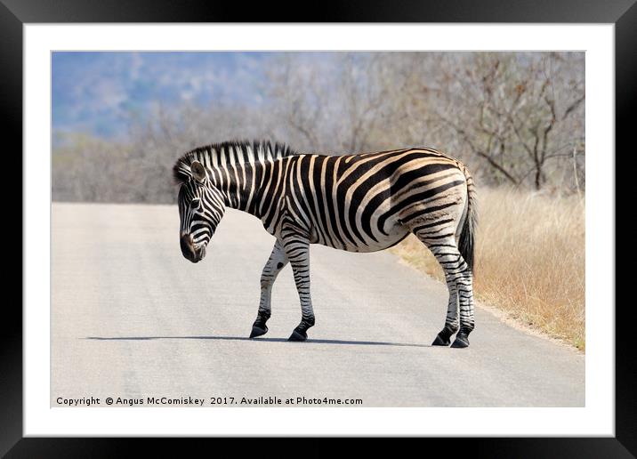 Zebra crossing track Framed Mounted Print by Angus McComiskey