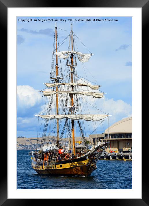 Tall ship arriving at Hobart harbour Tasmania Framed Mounted Print by Angus McComiskey