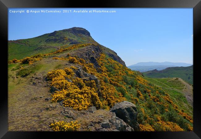 The ascent up Whinny Hill to Arthur's Seat Framed Print by Angus McComiskey