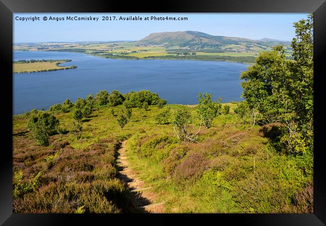 Footpath leading to viewpoint on Benarty Hill Framed Print by Angus McComiskey