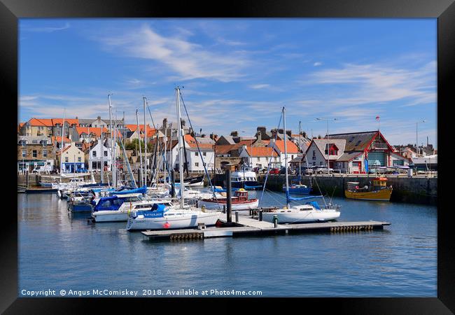 Anstruther harbour in East Neuk of Fife, Scotland Framed Print by Angus McComiskey