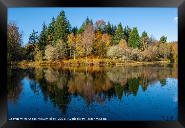 Autumn colours on Penicuik High Pond Framed Print by Angus McComiskey