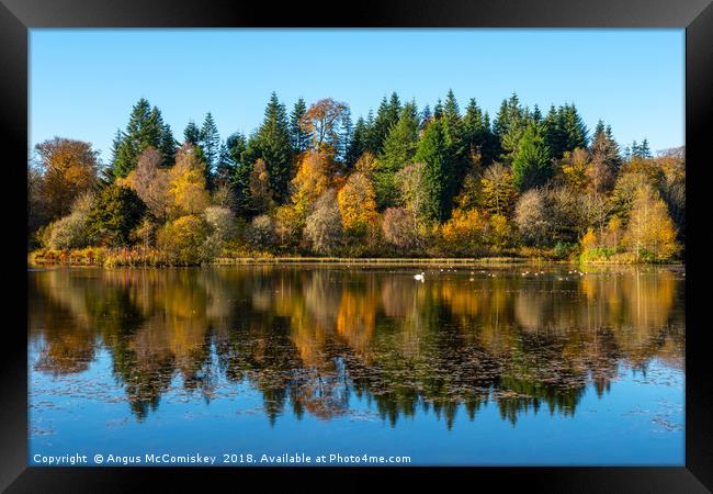 Autumn reflections on Penicuik High Pond Framed Print by Angus McComiskey