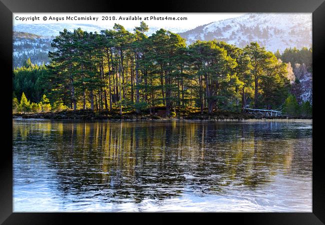 Frozen Loch an Eilein Framed Print by Angus McComiskey