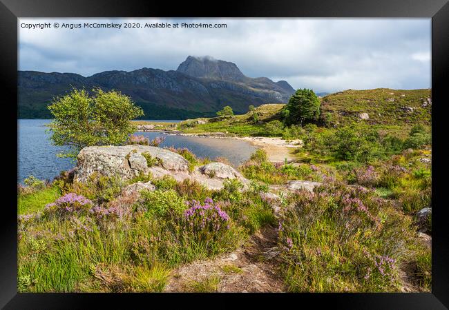 Purple heather along shoreline of Loch Maree Framed Print by Angus McComiskey