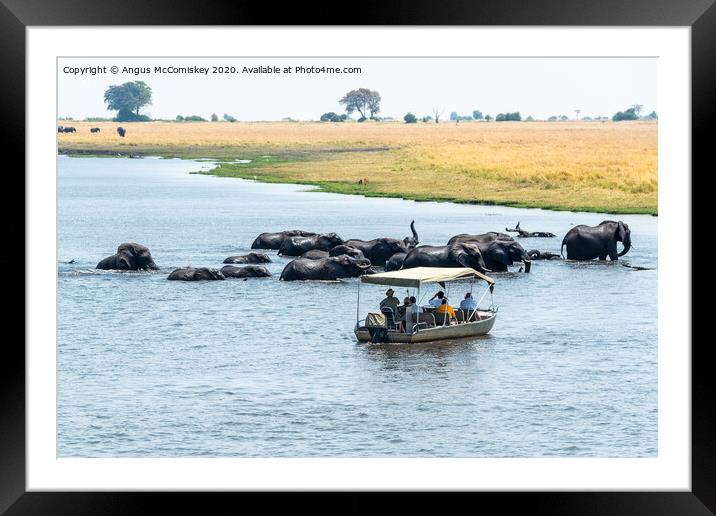 Watching elephants on the Chobe River, Botswana Framed Mounted Print by Angus McComiskey