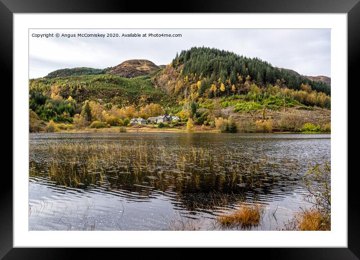 Loch Chon reeds Framed Mounted Print by Angus McComiskey