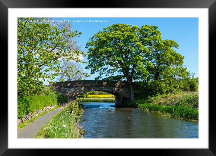 Bridge 41 on Union Canal Framed Mounted Print by Angus McComiskey
