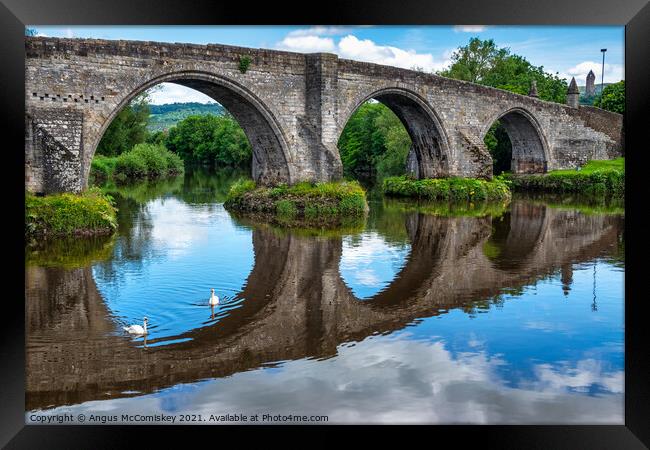Old Stirling Bridge with swans Framed Print by Angus McComiskey