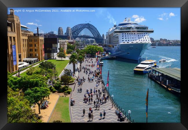 Cruise ship at Circular Quay in Sydney Harbour Framed Print by Angus McComiskey
