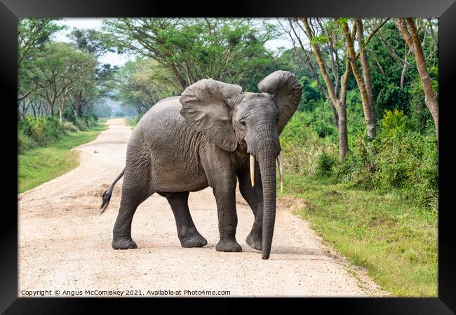 Roadblock, southwest Uganda Framed Print by Angus McComiskey