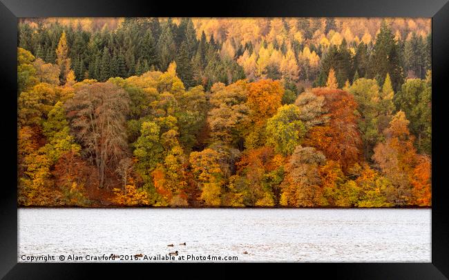 Autumn Colours, Perthshire Framed Print by Alan Crawford
