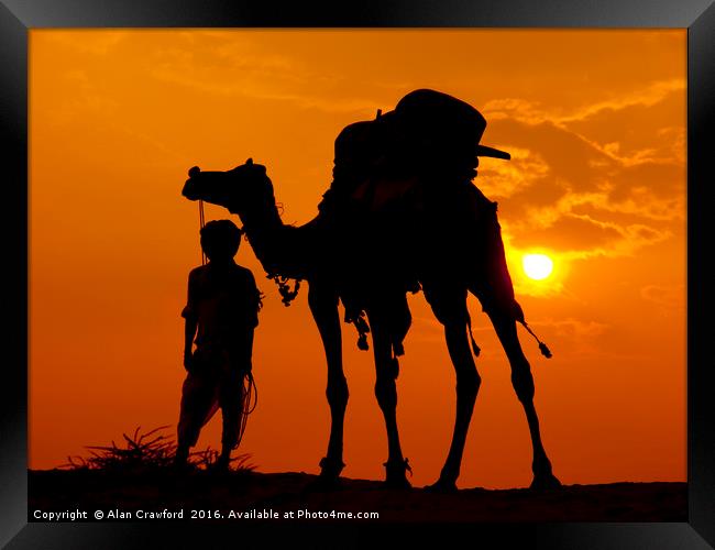 Camel and Minder, India Framed Print by Alan Crawford