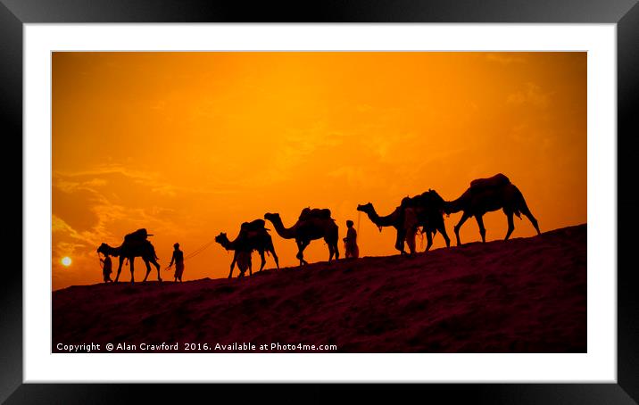 Camels and minders in silhouette, India Framed Mounted Print by Alan Crawford