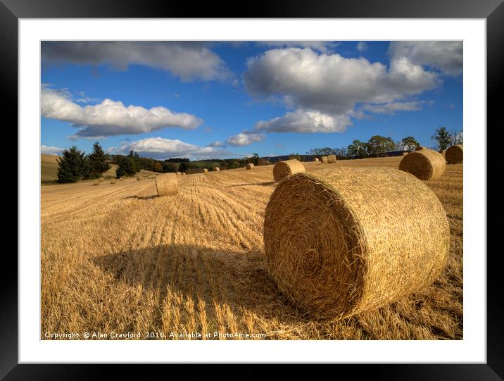 Make Hay While the Sun Shines Framed Mounted Print by Alan Crawford