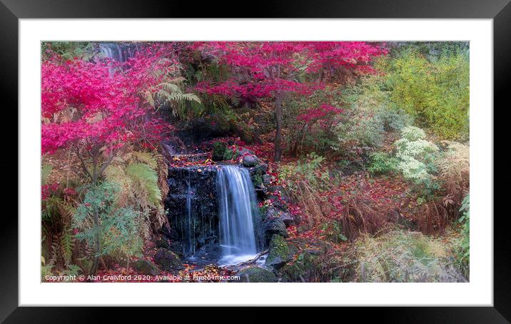 Abstract Autumn Colours Framed Mounted Print by Alan Crawford
