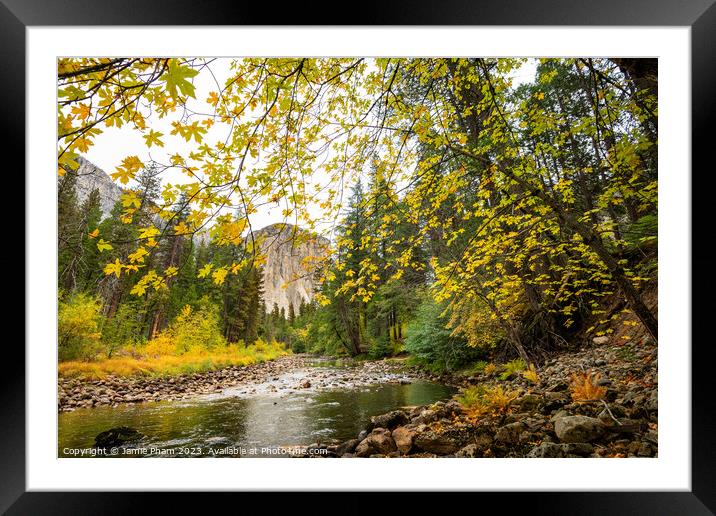 Falling Gold Framed Mounted Print by Jamie Pham