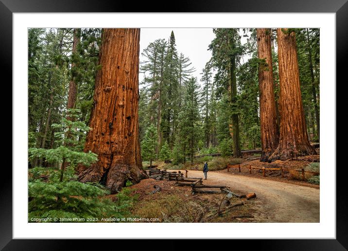 Stand Among Giants Framed Mounted Print by Jamie Pham