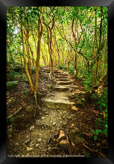 The hike on the Pipiwai Trail in Maui. Framed Print by Jamie Pham