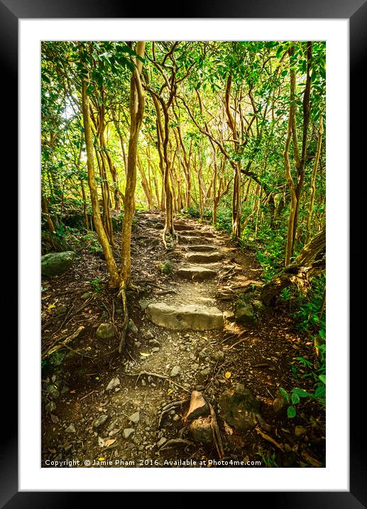 The hike on the Pipiwai Trail in Maui. Framed Mounted Print by Jamie Pham