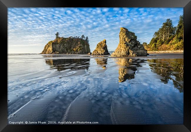 Ruby Beach in Olympic National Park located in Was Framed Print by Jamie Pham