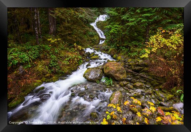 Beautiful Bunch Creek Falls in the Olympic Nationa Framed Print by Jamie Pham