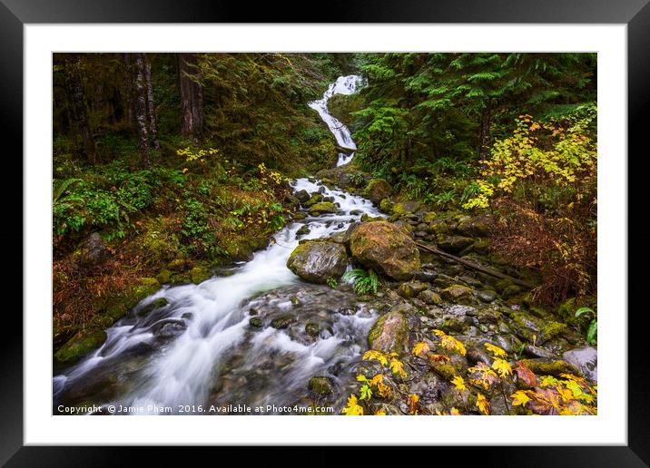 Beautiful Bunch Creek Falls in the Olympic Nationa Framed Mounted Print by Jamie Pham