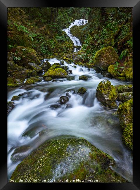 Beautiful Bunch Creek Falls in the Olympic Nationa Framed Print by Jamie Pham