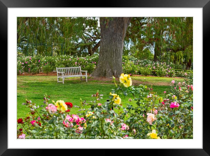 Beautiful Rose Garden of the Huntington Library. Framed Mounted Print by Jamie Pham