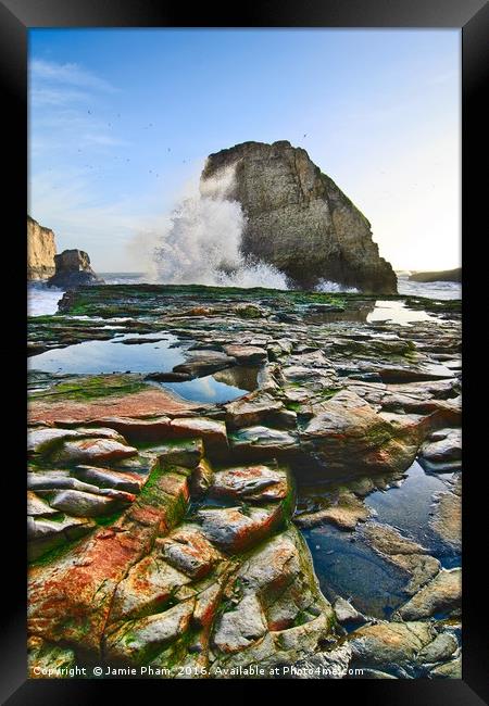 Dramatic view of Shark Fin Cove Framed Print by Jamie Pham
