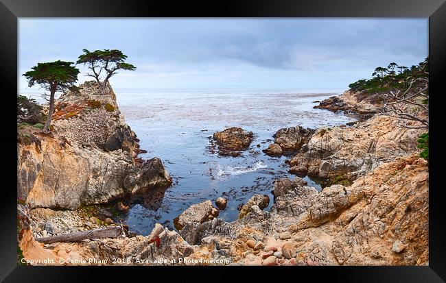 The famous Lone Cypress tree at Pebble Beach in Mo Framed Print by Jamie Pham