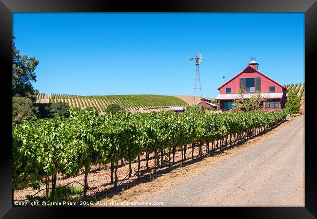 Beautiful view of wine vineyards in Napa Valley. Framed Print by Jamie Pham