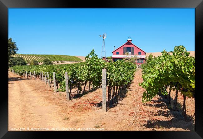 Beautiful view of wine vineyards in Napa Valley. Framed Print by Jamie Pham
