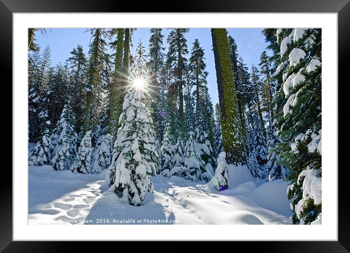 Winter Wonderland of Badger Pass in Yosemite Natio Framed Mounted Print by Jamie Pham