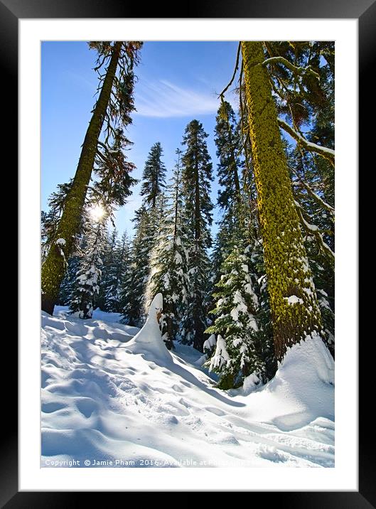 Winter Wonderland of Badger Pass in Yosemite Natio Framed Mounted Print by Jamie Pham