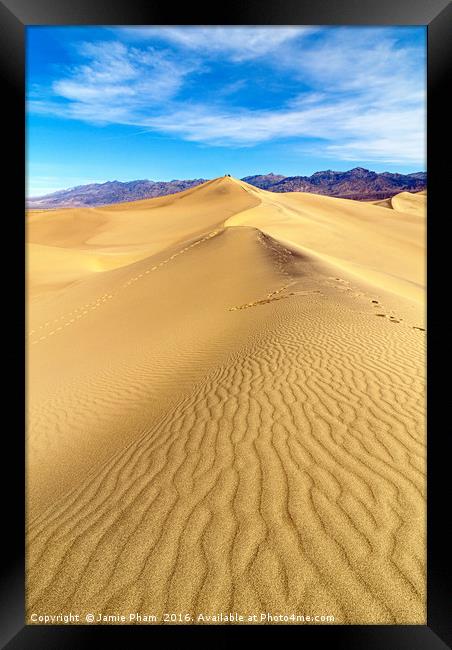Early morning in the Mesquite Sand Dunes in Death  Framed Print by Jamie Pham