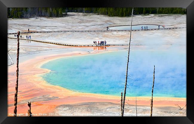Overhead view of Grand Prismatic Spring in Yellows Framed Print by Jamie Pham