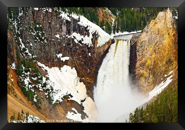 Closer view of Yellowstone Falls from Lookout Poin Framed Print by Jamie Pham