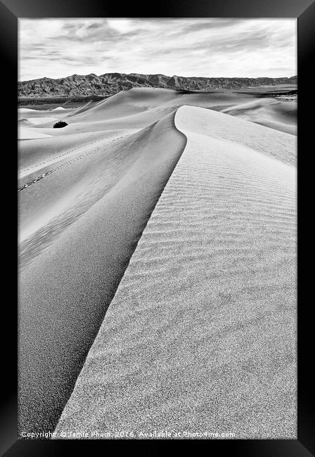 Sand Dune ridge in Death Valley National Park Framed Print by Jamie Pham
