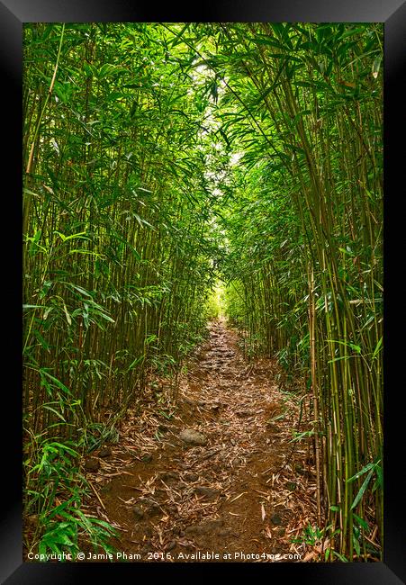 The magical bamboo forest of Maui  Framed Print by Jamie Pham