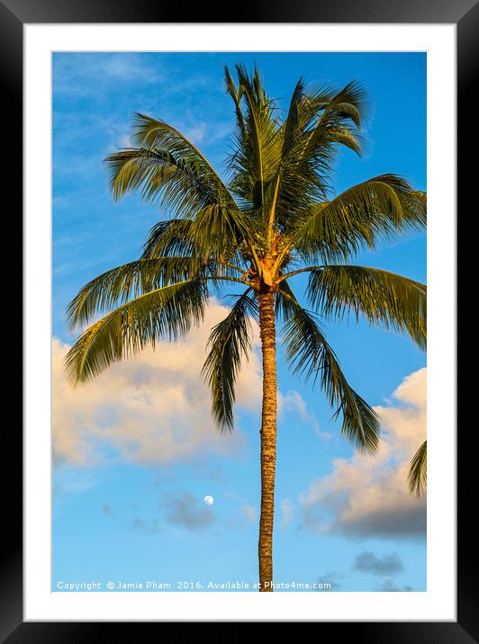 Beautiful coconut palm trees found on Maui, Hawaii Framed Mounted Print by Jamie Pham