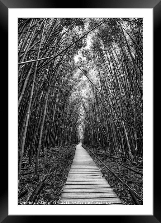 The magical and mysterious bamboo forest of Maui. Framed Mounted Print by Jamie Pham