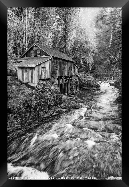 The Cedar Creek Grist Mill in Washington State. Framed Print by Jamie Pham