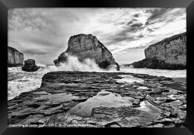 Dramatic view of Shark Fin Cove Framed Print by Jamie Pham