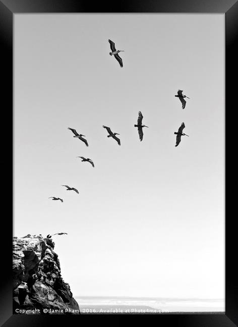 Natural Bridges State Beach in Santa Cruz, Califor Framed Print by Jamie Pham